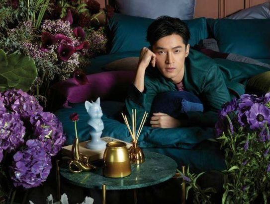 Một người khác trong danh sách này là Hồ Ca. Chắc hẳn những người yêu thích phim Hoa ngữ đều biết đến nam tài tử này. Từ Tiên Kiếm Kỳ Hiệp cho đến Lang Nha Bảng, mỗi lần Hồ Ca xuất hiện đều mang đến cho khán giả những bất ngờ lớn. Kỹ năng diễn xuất của anh ấy cũng ngày càng tiến bộ. Tuy nhiên, điều mà khán giả lo lắng hiện nay là Hồ Ca vẫn độc thân trong khi bạn bè đều đã yên bề gia thất. Nhưng Hồ Ca dường như không lo lắng về điều đó, vẫn luôn tỏ ra rất lạc quan. Người hâm mộ hy vọng Hồ Ca sẽ chú ý hơn đến việc phát triển tình cảm của mình, đồng thời mang đến cho công những tác phẩm hay hơn nữa.