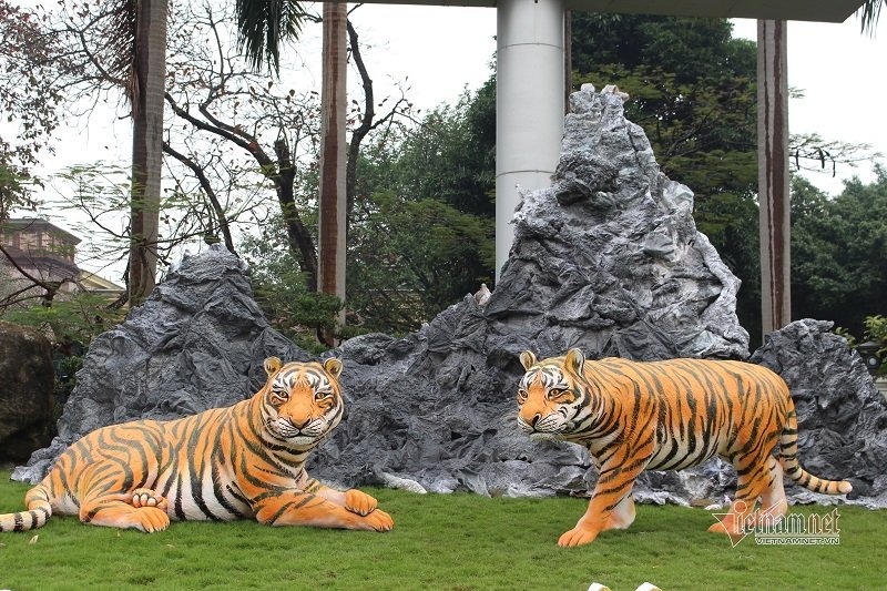 Còn đây là những chú hổ tại Thái Nguyên, Việt Nam. Hai con hổ với 2 tư thế khác nhau, bên thì thưa thái, bên uy dũng đều rất đẹp. Năm nay, những bức tượng hổ tại Thái Nguyên được bình chọn là 'đẹp nhất Việt Nam'. Ảnh: Vietnamnet