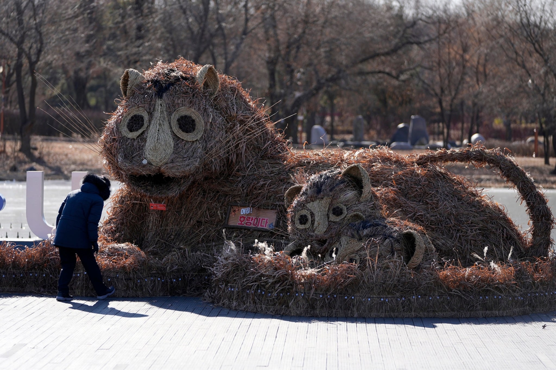 Tượng hổ phiên bản Hàn Quốc khiến CDM 'cười nội thương'. Người thấy bức tượng giống cú mèo, người lại thấy giống chuột thành tinh. Còn bạn thấy hổ Hàn Quốc giống con gì? Ảnh: AP