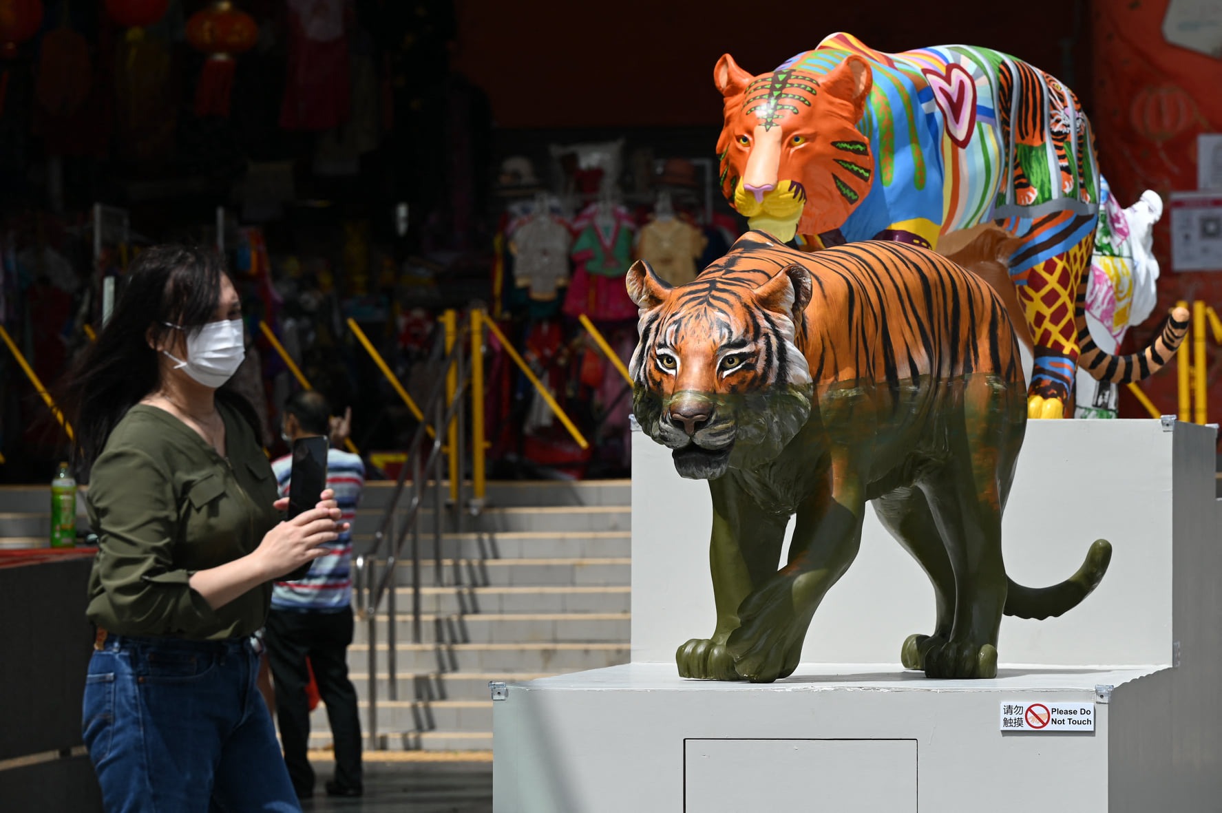 Những chú hổ tại Singapore được đánh giá là giống chúa sơn lâm nhất, vô cùng dũng mãnh. Nghệ thuật làm linh vật của quốc đảo chưa bao giờ làm công chúng thất vọng. Ảnh: AP