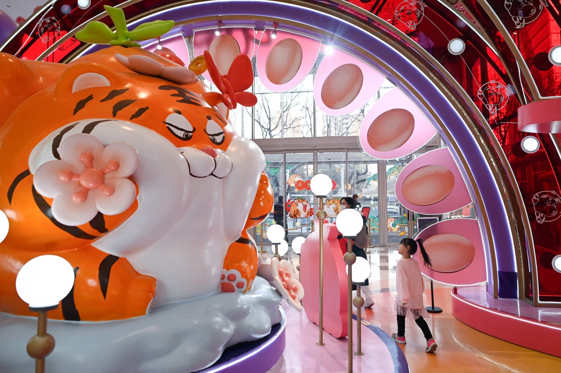 Thêm một chú hổ lai mèo béo ú tại Bắc Kinh. Năm nay, có vẻ thành phố này thích những chú hổ mũm mĩm, hiền lành và đáng yêu. Ảnh: AP