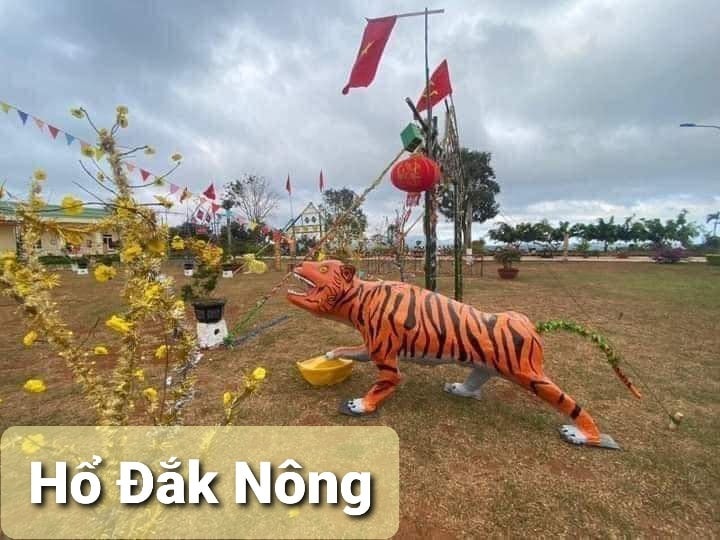 Tượng hổ 63 tỉnh thành so kè nhan sắc: Hổ Phú Yên, Bình Định, Bắc Ninh cạnh tranh ngôi vương 15