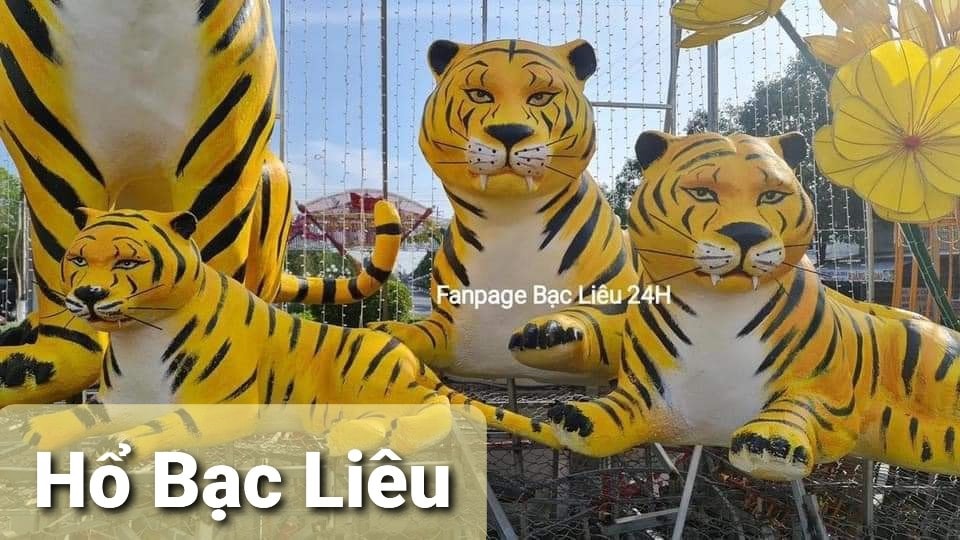 Tượng hổ 63 tỉnh thành so kè nhan sắc: Hổ Phú Yên, Bình Định, Bắc Ninh cạnh tranh ngôi vương 5