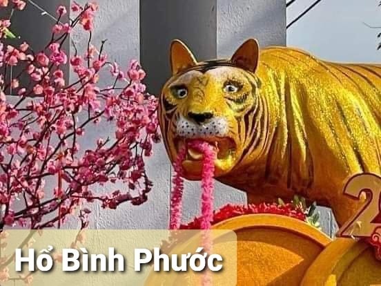 Tượng hổ 63 tỉnh thành so kè nhan sắc: Hổ Phú Yên, Bình Định, Bắc Ninh cạnh tranh ngôi vương 8