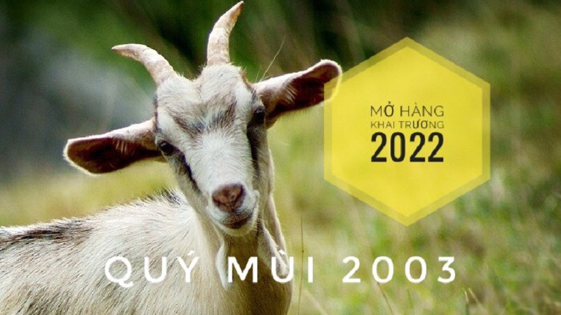 Chọn ngày mở hàng, khai trương cho tuổi Quý Mùi 2003 năm 2022 buôn may bán đắt Chọn ngày mở hàng, khai trương cho tuổi Quý Mùi 2003 năm 2022 buôn may bán đắt