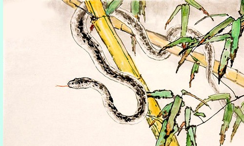 3 tuổi dễ đau ốm trong tháng Giêng năm 2022: Đinh Tỵ hạn La Hầu, Tân Tỵ gặp Thái Bạch - Ảnh 2