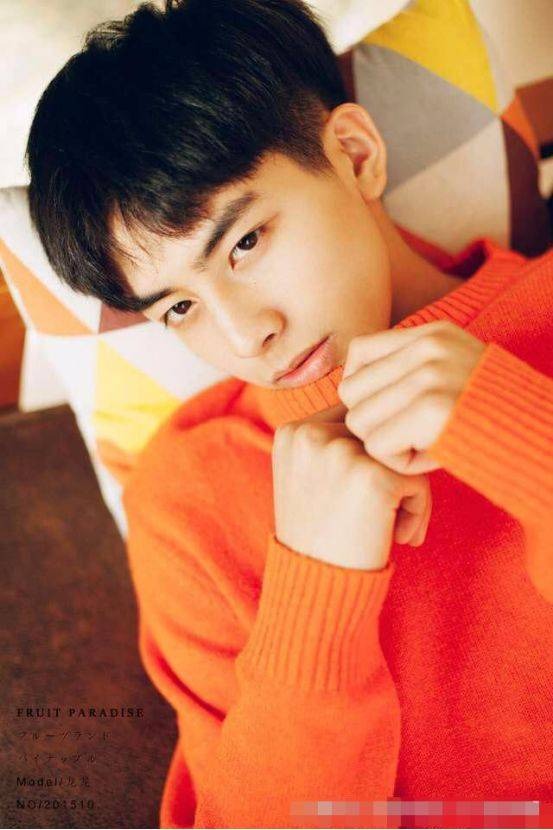 Vẻ đẹp thời niên thiếu của Tống Uy Long khiến chị em đổ nghiêng đổ ngả. Tống Uy Long được nhận xét là sao nam già trước tuổi nên dù ít tuổi anh ấy đã toát ra sự chững chạc cuốn hút.