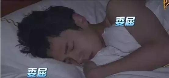 14 nam thần Hoa ngữ say ngủ: Dương Dương tuyệt sắc, Hạo Nhiên nữ tính, Trương Hàn giả trân - Ảnh 3