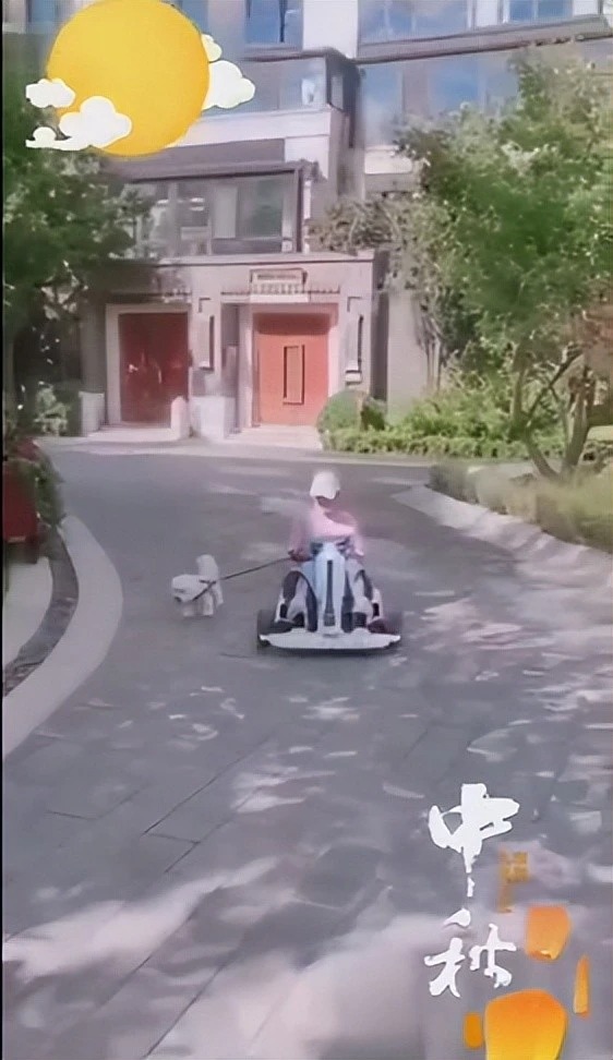 Điểm lại khối tài sản khổng lồ của Triệu Lệ Dĩnh sau lùm xùm trốn thuế - Ảnh 2