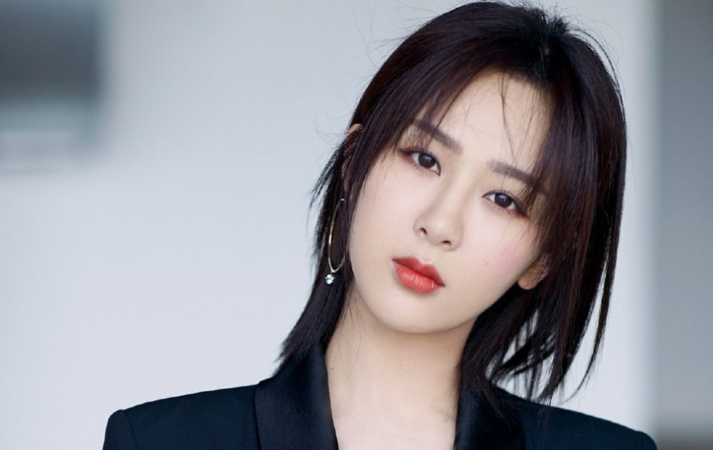 Fan Dương Tử khiến thần tượng 'đội quần' vì đi bình luận nhầm - Ảnh 2