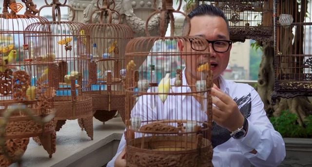 Đại gia Hà Nội chơi chim đột biến: Chi 10 tỷ sắm lồng, thuê hẳn 4 người chăm sóc - Ảnh 5 Đại gia Hà Nội chơi chim đột biến: Chi 10 tỷ sắm lồng, thuê hẳn 4 người chăm sóc - Ảnh 5