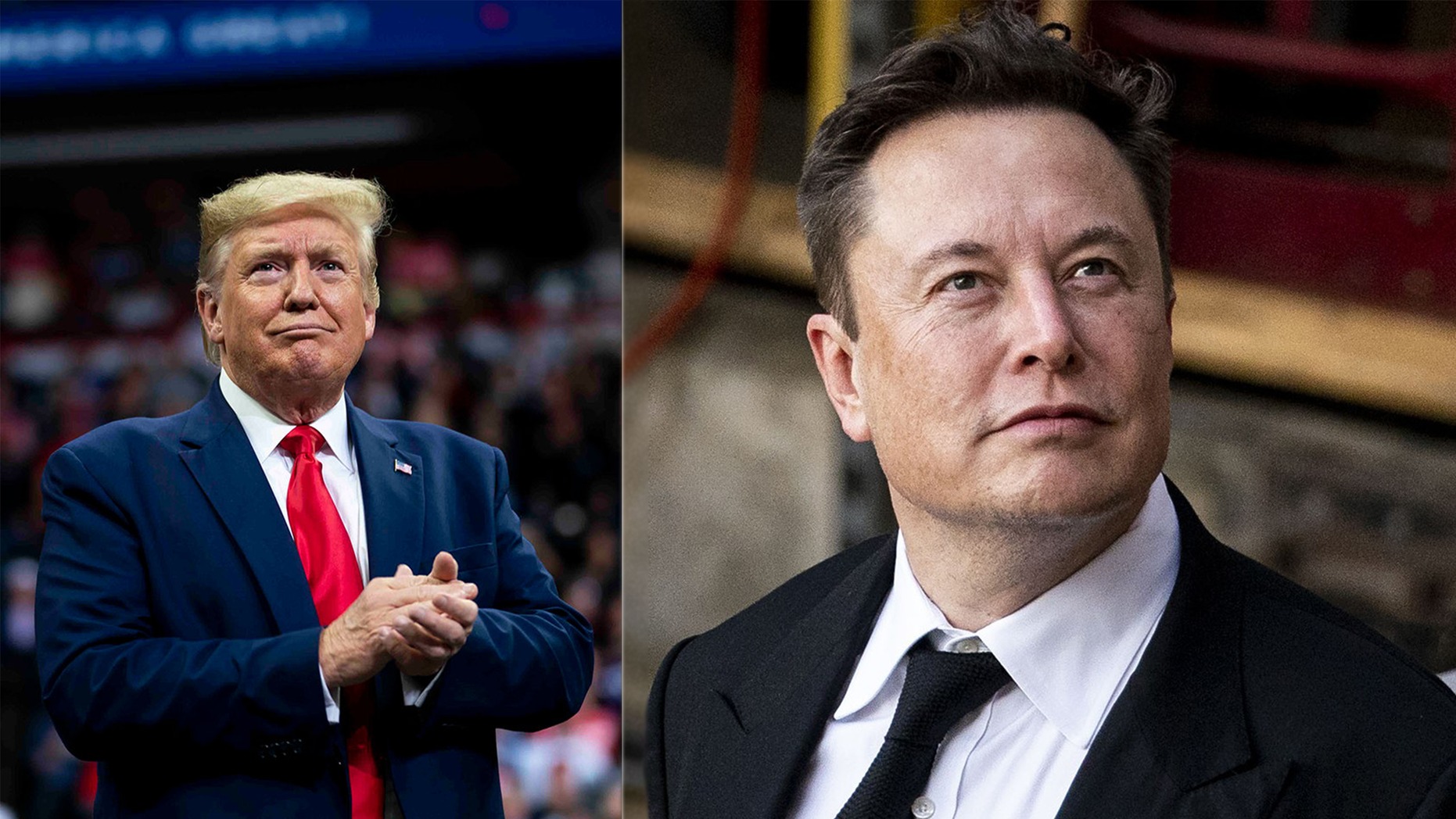 Cựu tổng thống Trump và CEO Tesla Elon Musk có mối quan hệ hữu hảo. Cựu tổng thống Trump và CEO Tesla Elon Musk có mối quan hệ hữu hảo.