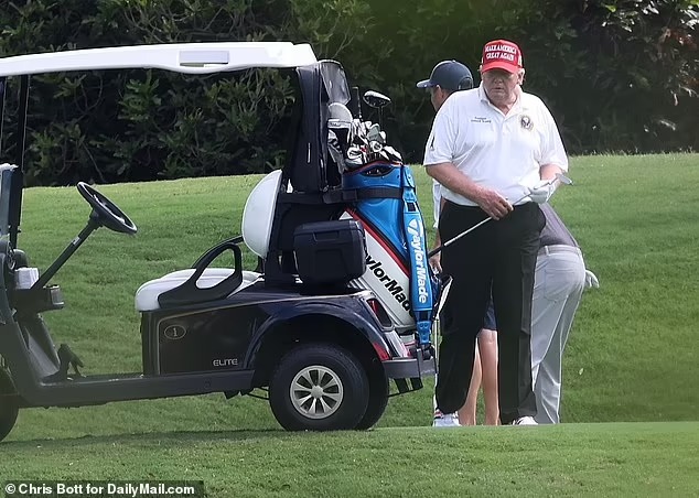 Donald Trump tái xuất, dự báo những ngày tháng náo nhiệt trên MXH - Ảnh 2 Donald Trump tái xuất, dự báo những ngày tháng náo nhiệt trên MXH - Ảnh 2