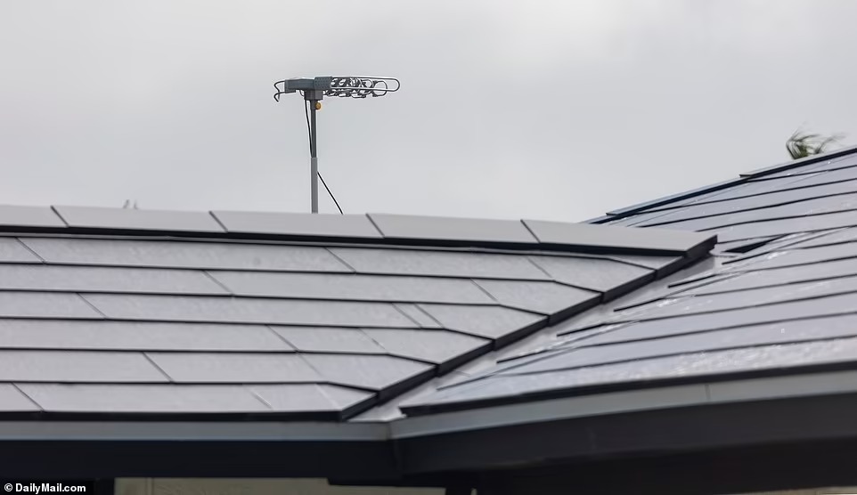 Căn nhà xây từ những năm 1970 được bảo vệ bằng hàng chục camera an ninh, có cái ẩn mình trong những tán cọ. Ảnh: Dailymail