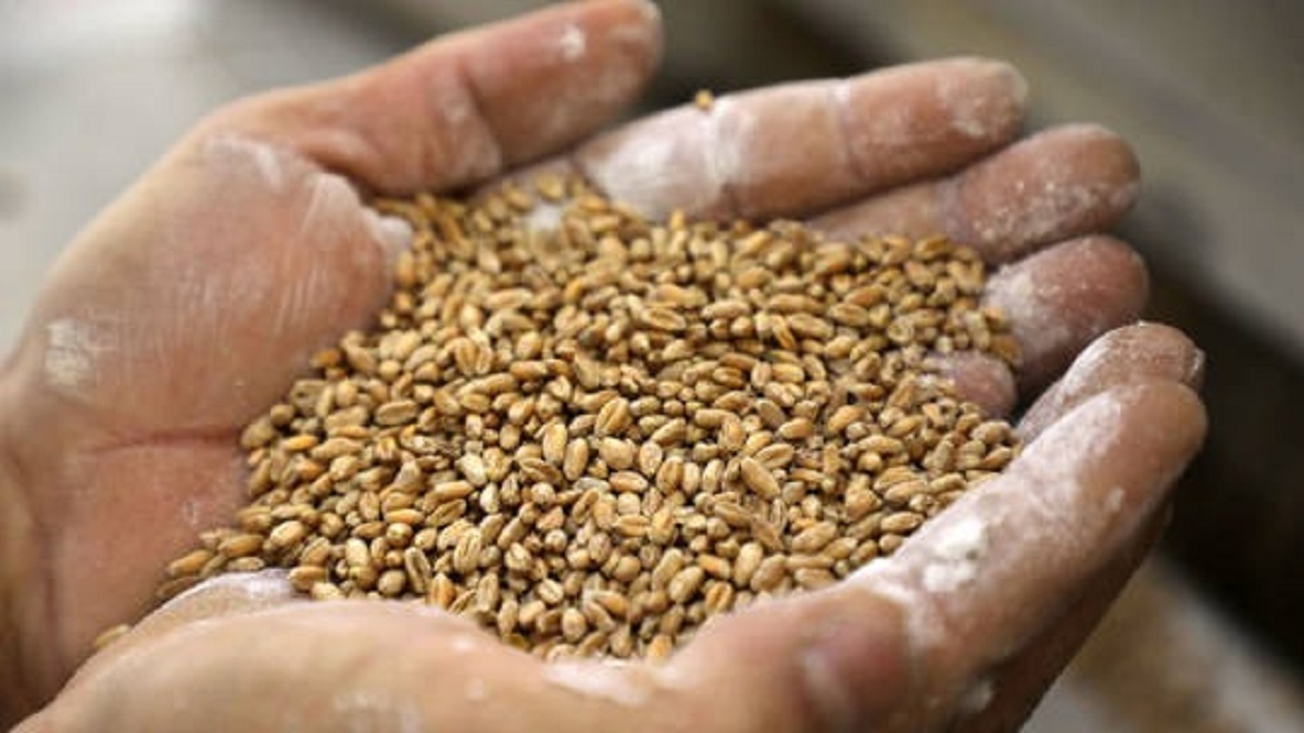 Điện Kremlin bóc trần nguyên nhân gây khủng hoảng lương thực toàn cầu