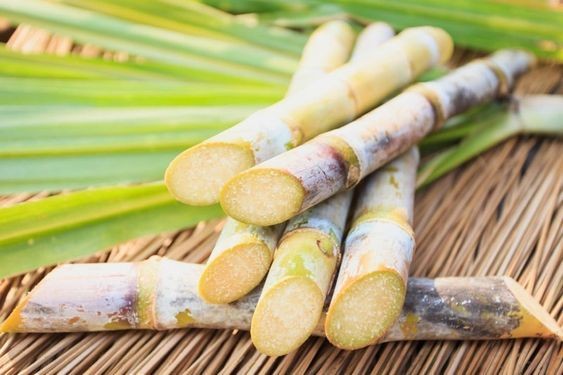 Không chỉ giải nhiệt mùa hè, nước mía còn có vô vàn công dụng khác khiến nhiều người phải giật mình 2 Không chỉ giải nhiệt mùa hè, nước mía còn có vô vàn công dụng khác khiến nhiều người phải giật mình 2