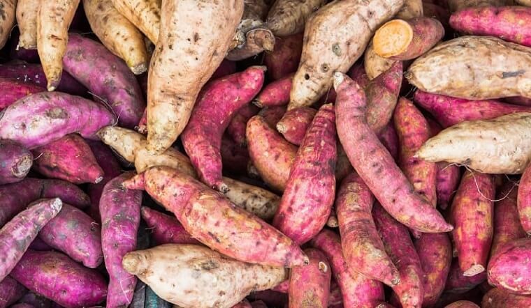 4 loại rau không nên ăn nhiều gây ảnh hưởng đến sức khỏe mà bạn nên biết - Ảnh 1