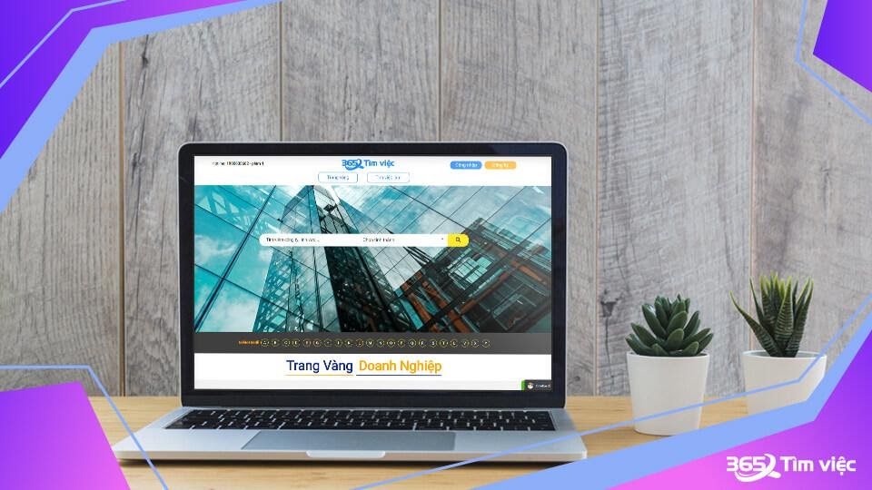 Timviec365.vn - Nắm bắt cơ hội việc làm chất lượng trong tầm tay  - Ảnh 2
