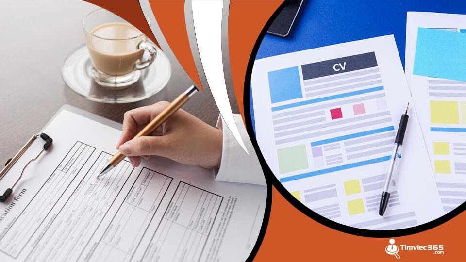 Timviec365.com – đồng hành cùng ứng viên trên con đường chinh phục việc làm - Ảnh 2