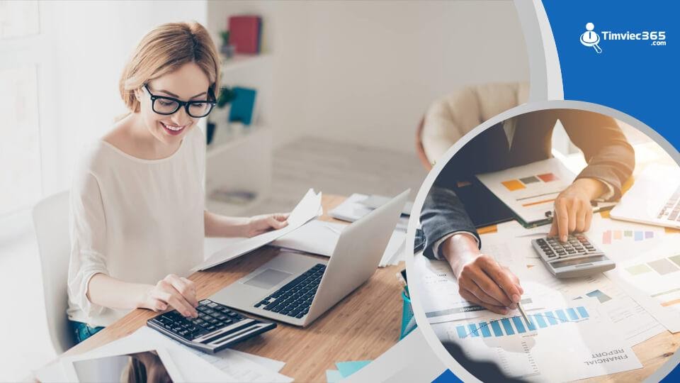 Trải nghiệm “thế giới” việc làm kế toán hấp dẫn tại timviec365.com