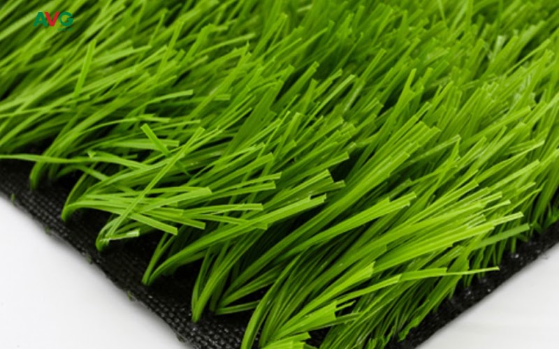 VEC Group nhập khẩu trực tiếp cỏ nhân tạo tại công ty AVG