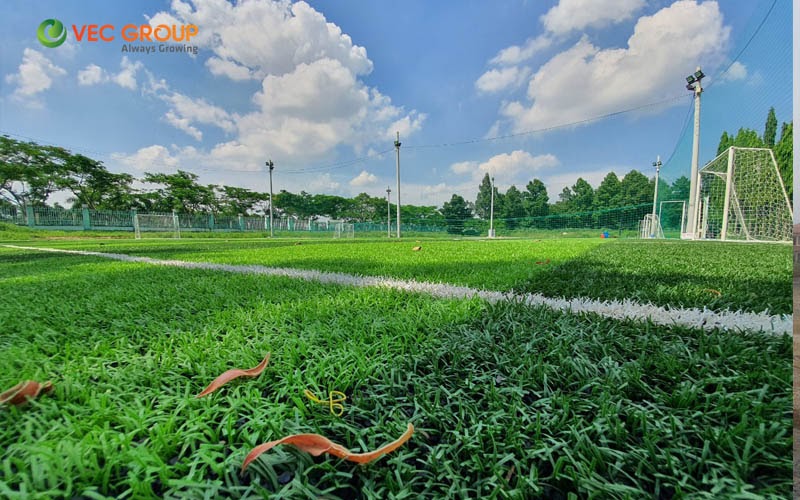 VEC GROUP - 15 năm kinh nghiệm trong thi công các công trình cỏ nhân tạo - Ảnh 2