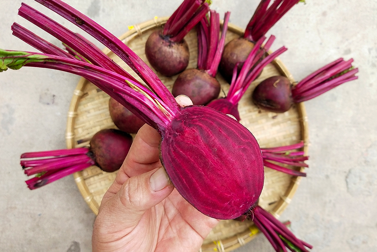 Dưỡng môi với củ dền: Rẻ mà hiệu quả 'không phải dạng vừa' - Ảnh 3