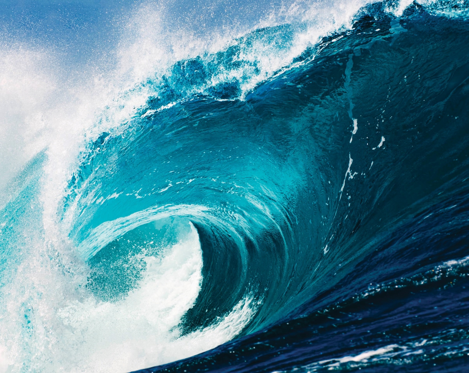 Các thành phần dưỡng da có nguồn gốc từ biển cả - Ảnh 2