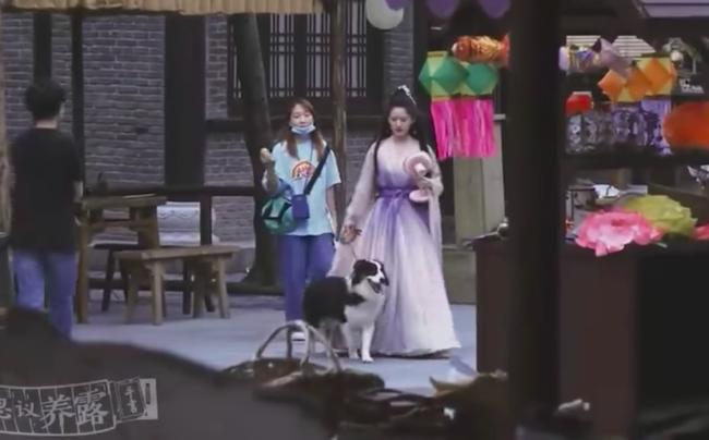 Triệu Lộ Tư dắt chó đi dạo cũng đẹp 'nhức nách', nhưng sao thái độ của pet yêu lại 'zang hồ' thế này - Ảnh 5 Triệu Lộ Tư dắt chó đi dạo cũng đẹp 'nhức nách', nhưng sao thái độ của pet yêu lại 'zang hồ' thế này - Ảnh 5