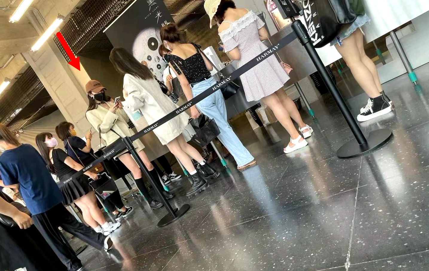 Dương Mịch và Cat thường xuyên đi chơi cùng nhau