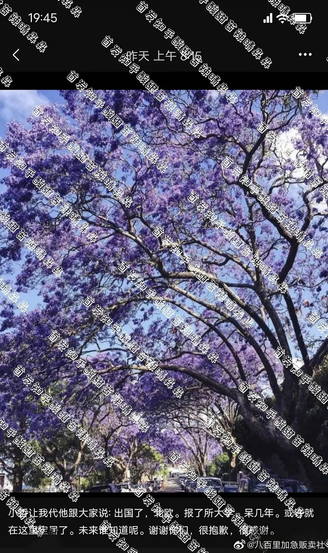 Tin nóng Cbiz ngày 28/8: Nhất Bác bị 'sờ gáy', quả báo của Triệu Vy, Tiêu Chiến gặp 'hạn', Trịnh Sảng lại 'lên thớt', loạt phốt mới - Ảnh 5