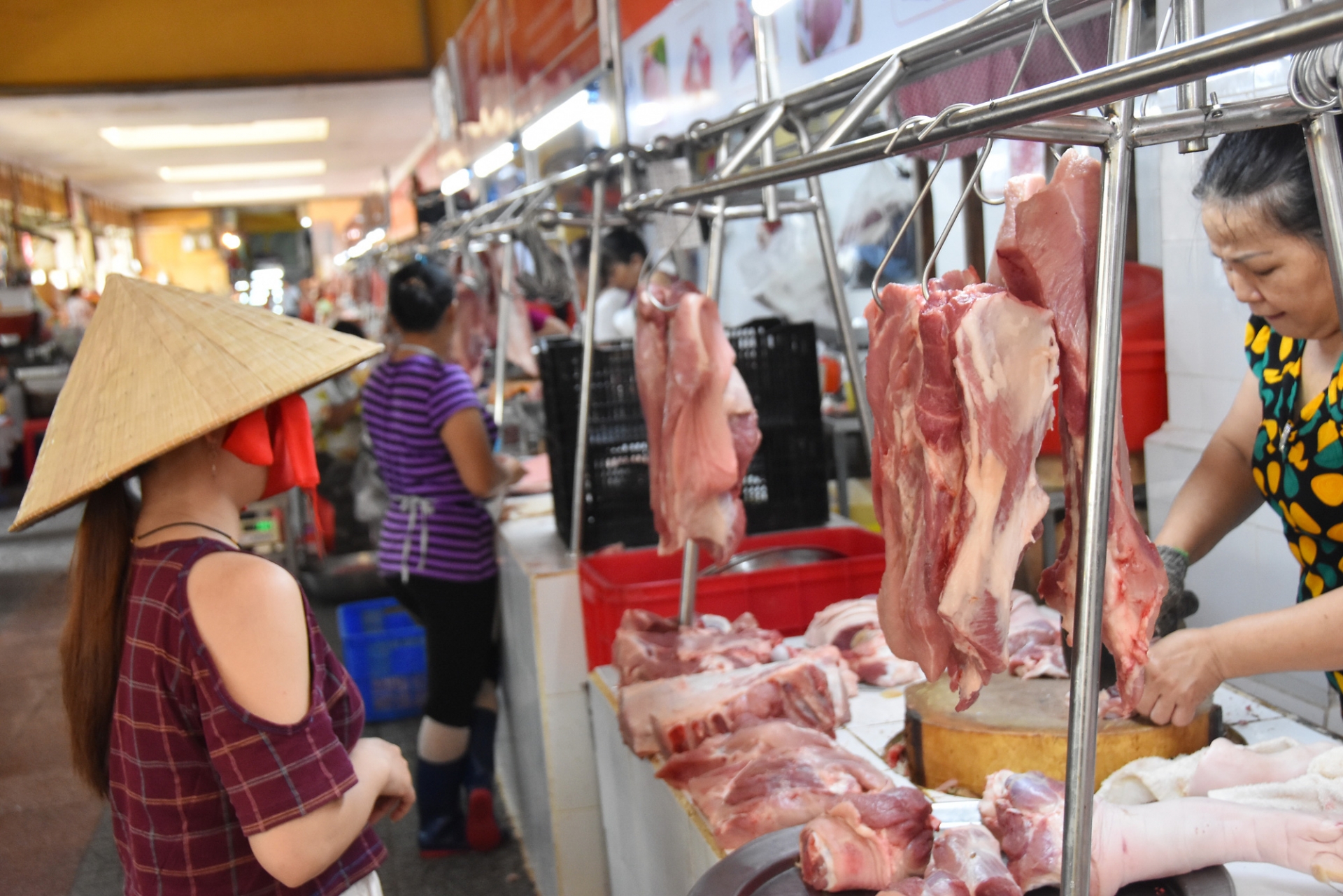 Giá heo hơi hôm nay 6/9: Biến động mạnh cả ba miền 3 Giá heo hơi hôm nay 6/9: Biến động mạnh cả ba miền 3
