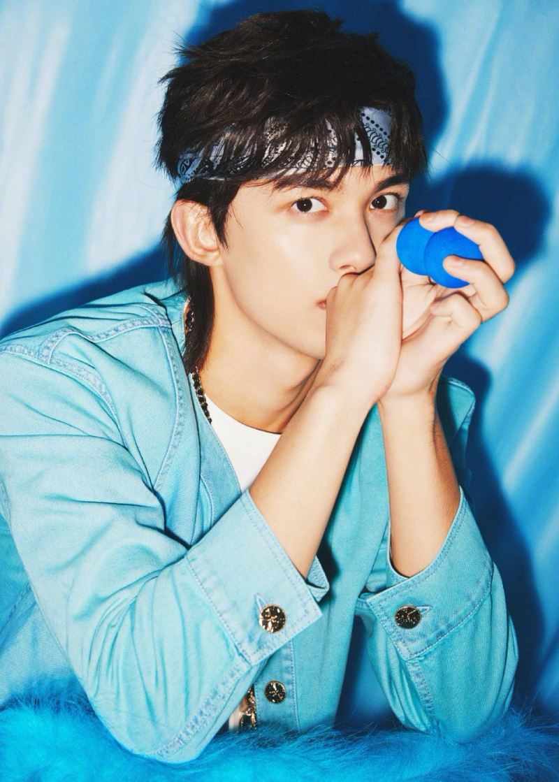 Dù còn trẻ tuổi nhưng Ngô Lỗi đã khẳng định tên tuổi và vị thế của mình trong làng giải trí Hoa ngữ. Nam minh tinh từng góp mặt và đồng hành cũng không ít ngôi sao đình đám chính vì vậy nhân VI CÁ YẾN SÀO thuộc về Ngô Lỗi