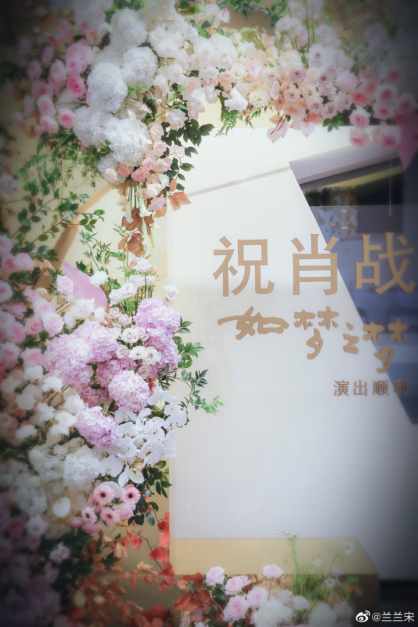 Giám đốc TOD'S (Thượng Hải) chia sẻ:  T - Talent, tài hoa bộc lộ;T - Twinkle, tinh đồ rạng rỡ;T - Treasure, trân quý gặp gỡ;T - TOD'S, cầu chúc Như Mộng biểu diễn thuận lợi