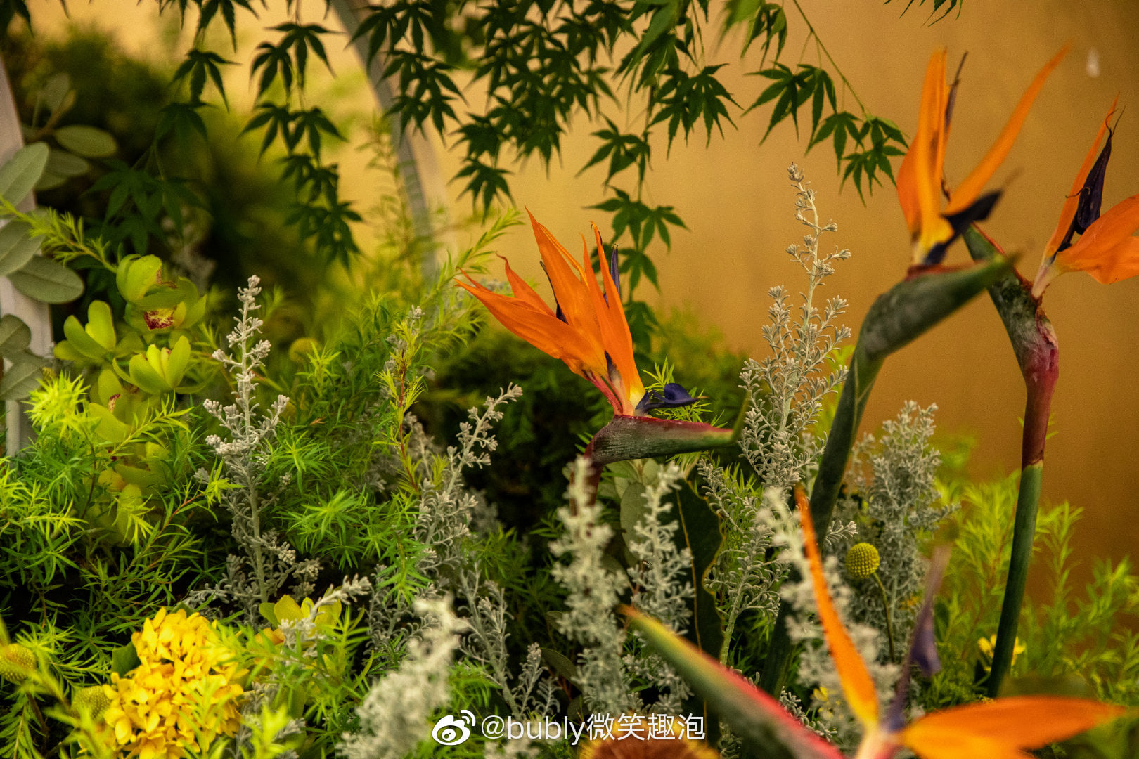 Quyền lực Tiêu Chiến trong Cbiz 'khủng' cỡ nào, nhìn bức tường hoa trong sự kiện mới đây sẽ rõ? - Ảnh 3