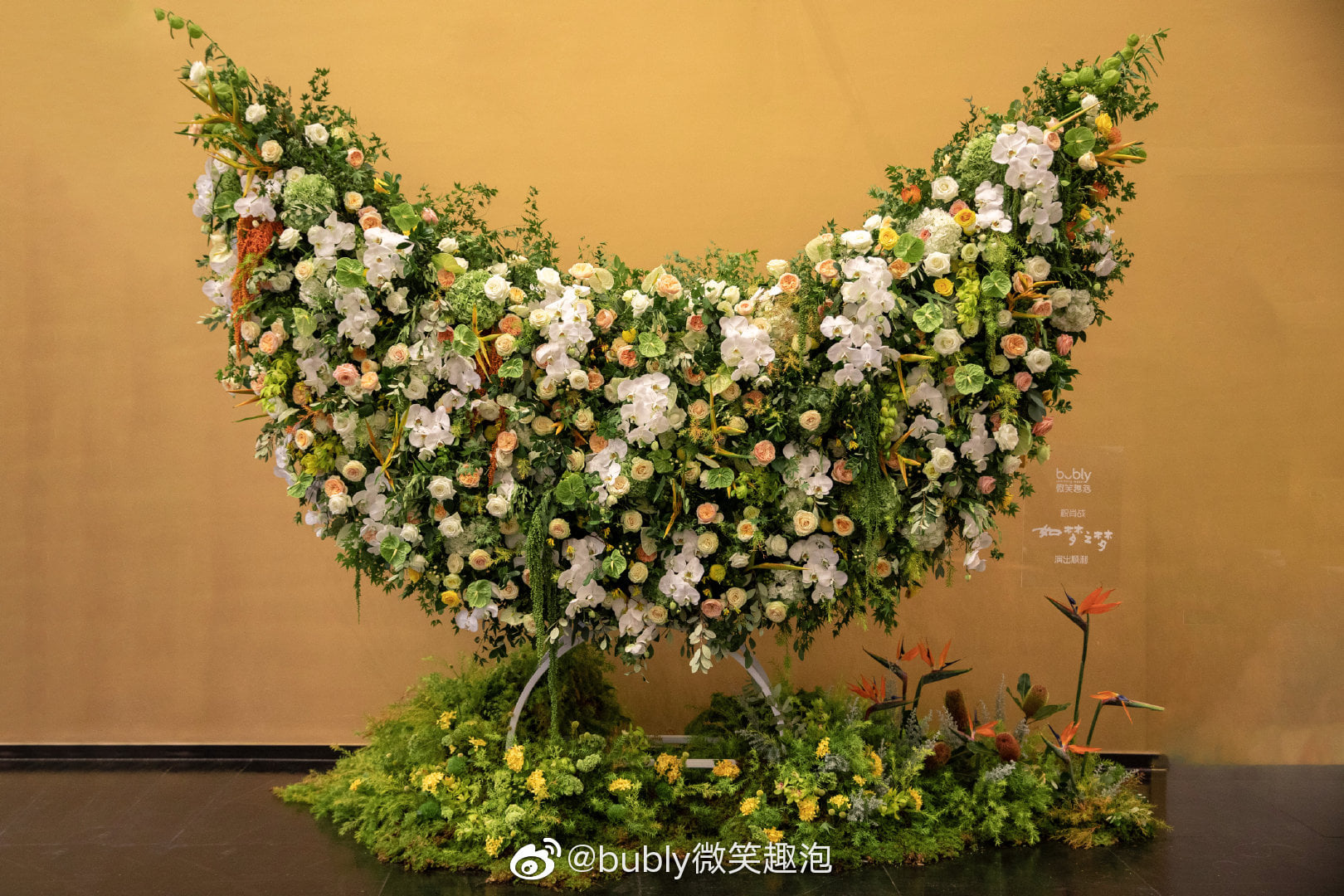 Sao Cbiz hôm nay làm gì (23/9): 9 idol tổ chức sinh nhật, Nhất Bác rời Thượng Hải, Tiêu Chiến tất bật, Tịnh Y quảng cáo? - Ảnh 1