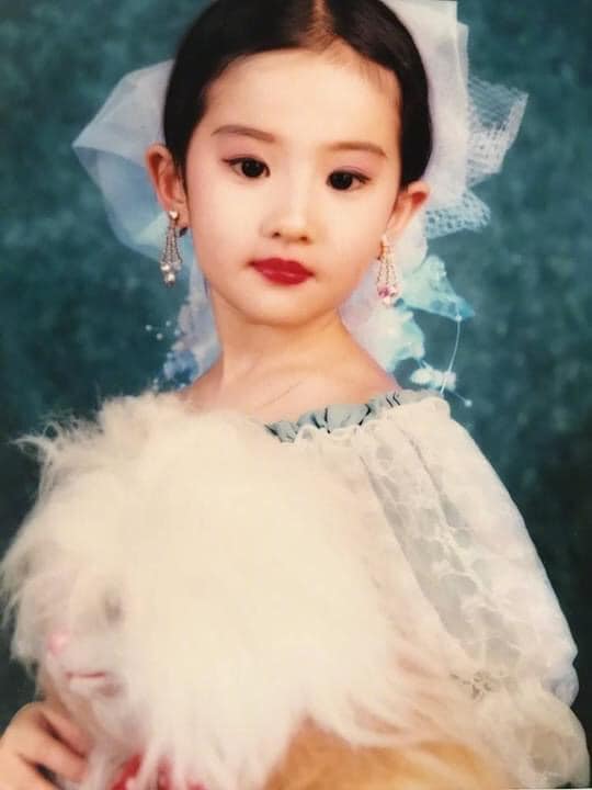 Lưu Diệc Phi được bố mẹ đầu tư cho bức ảnh. Phụ kiện cài tóc, váy áo đến phụ kiện khuyên tai đều có sự đồng điệu