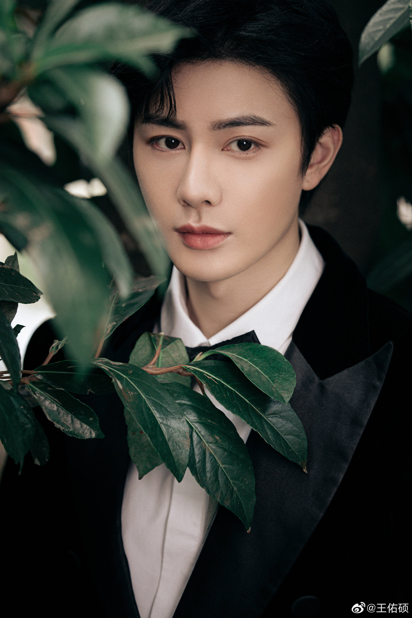 Vương Hựu Thạc từng góp mặt trong các dự án phim ảnh đình đám như Vân Tịch Truyện, Như Ý Phương Phi, Đại Tống Thiếu Niên Chí... diễn xuất của nam thần này được giới chuyên môn đánh giá cao. Một số nguồn tin cho biết, khối tài sản của Vương Hựu Thạc cũng 'khủng' chẳng kém ai trong Cbiz