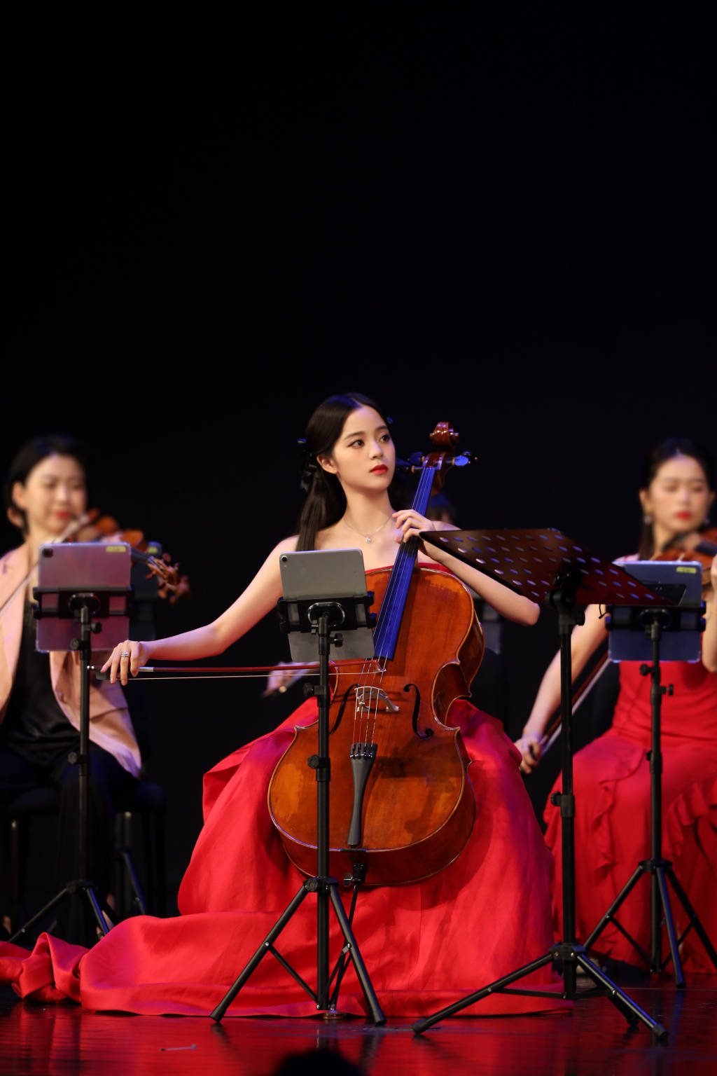 Âu Dương Na Na dự concert