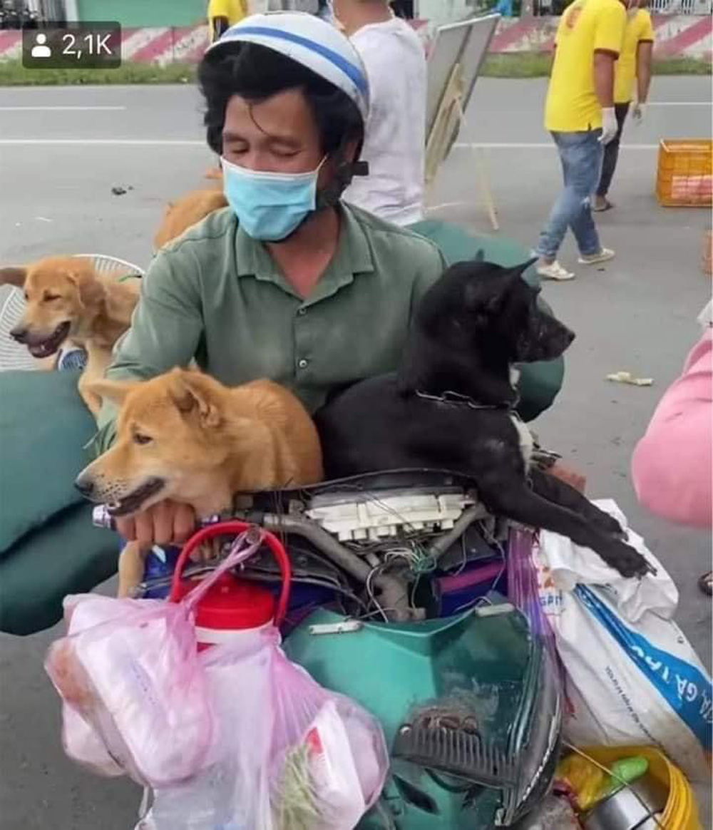Vụ tiêu hủy 16 con chó của người mắc Covid-19: Địa phương đứng ra nhận sai, do nhầm lẫn - ảnh 2