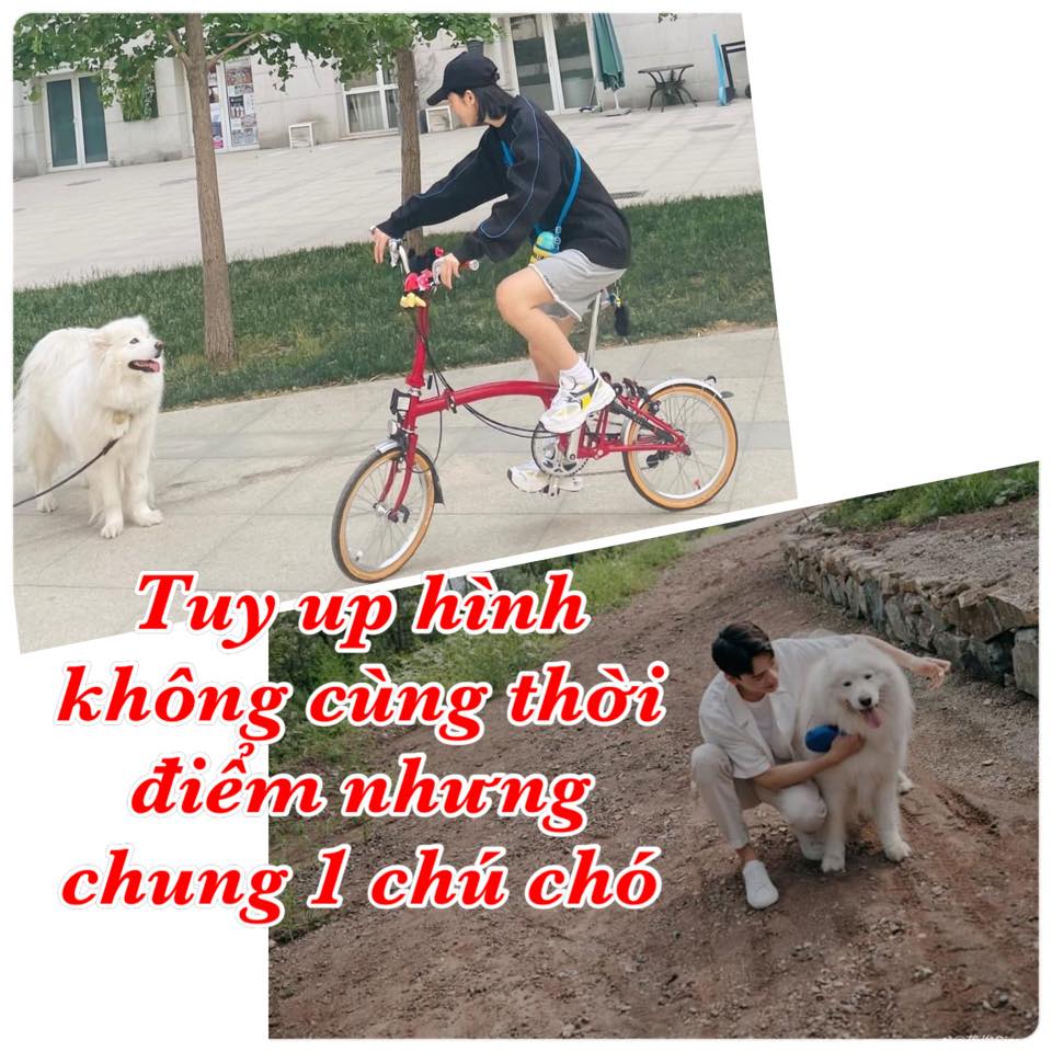 Tin nóng Cbiz ngày 11/10: Cung Tuấn có 'hint' hẹn hò, Trịnh Sảng đại náo MXH, gian lận chưa từng có, Nhất Bác bị ép bỏ nghề 5 Tin nóng Cbiz ngày 11/10: Cung Tuấn có 'hint' hẹn hò, Trịnh Sảng đại náo MXH, gian lận chưa từng có, Nhất Bác bị ép bỏ nghề 5