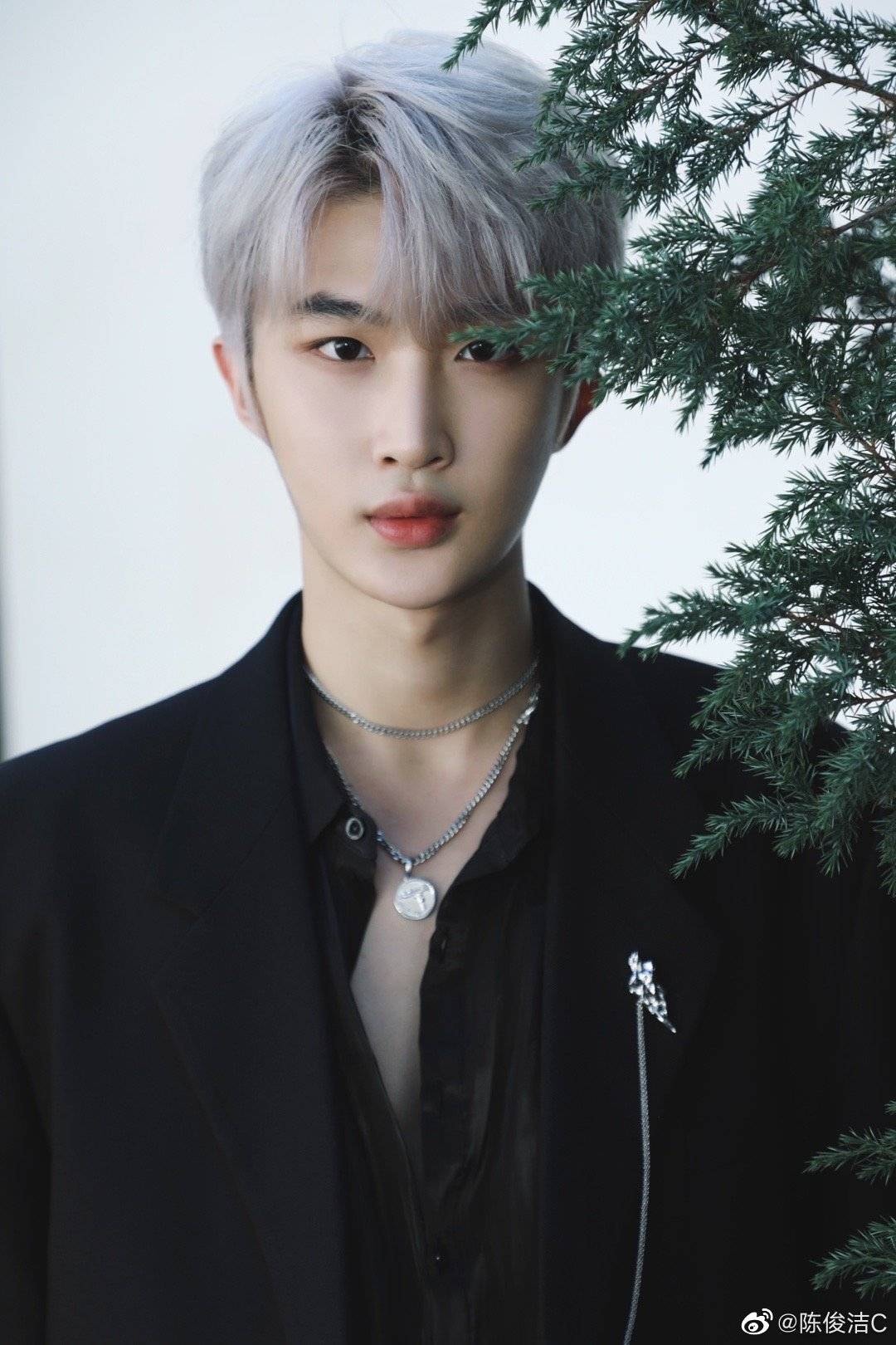 Trần Tuấn Khiết