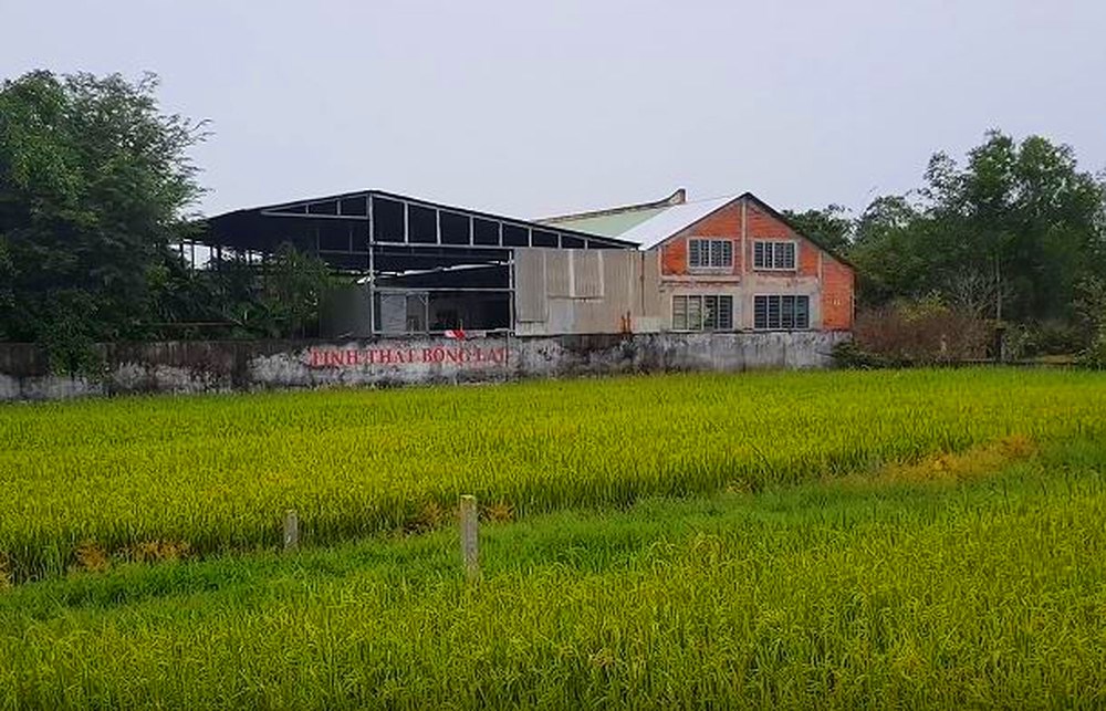 Ủy ban Nhân dân huyện Đức Hòa cho biết cơ quan đang rà soát toàn bộ công trình xây dựng bất hợp pháp của bà Cúc