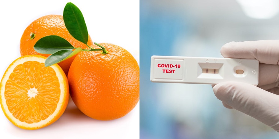 Khó thế cũng nghĩ ra: Thanh niên 'chơi lớn' test Covid cho trái cam, kết quả cho ra thực sự 'ảo ma'? 2