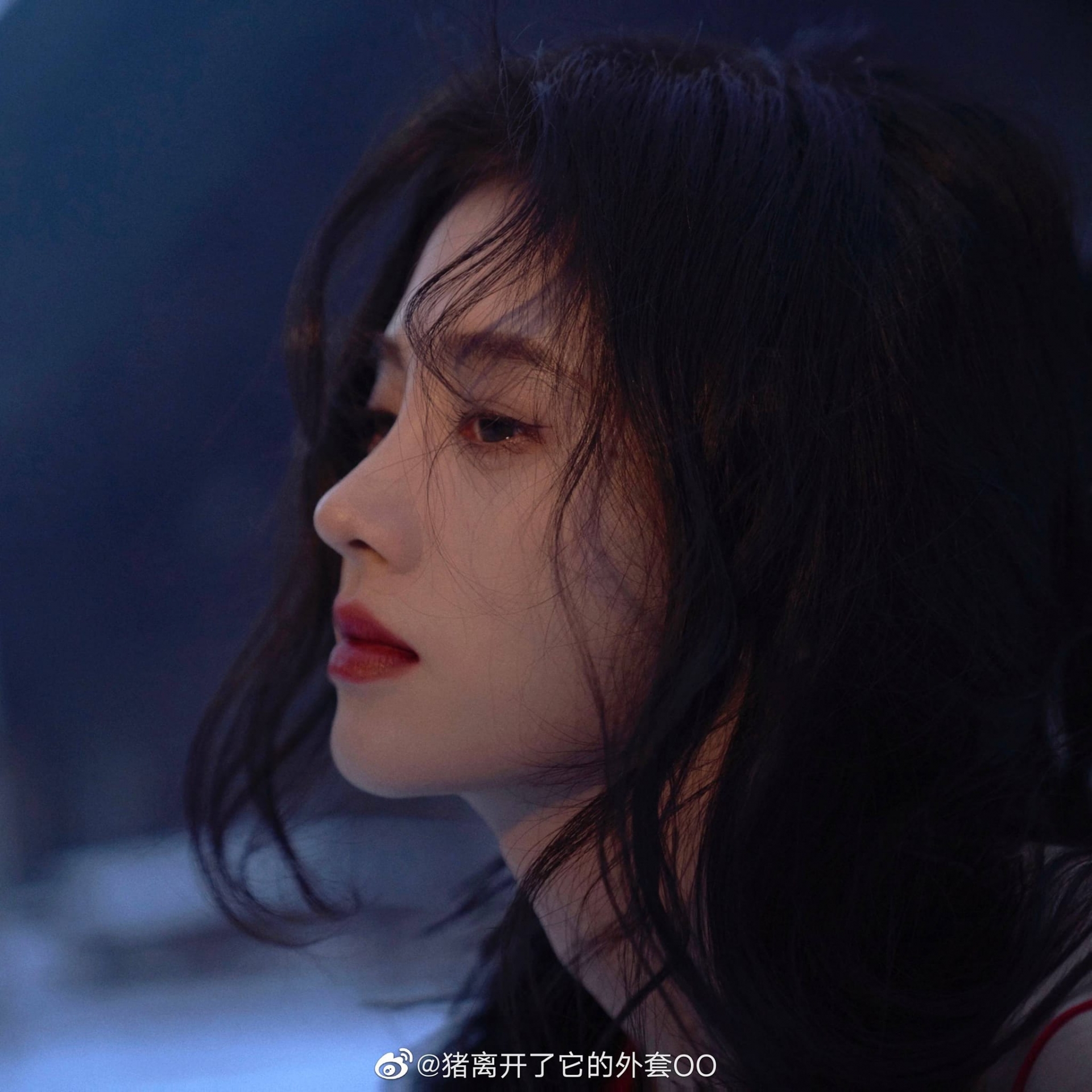 Hình ảnh mới của Cúc Tịnh Y