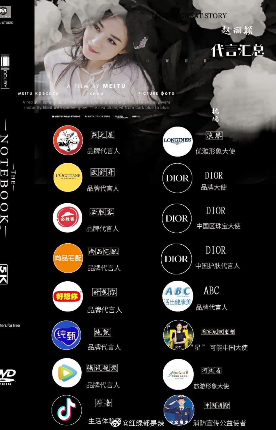 Triệu Lệ Dĩnh có 16 thương hiệu làm đại ngôn. Con số này được đánh giá hơi ít với 1 sao nữ đình đám