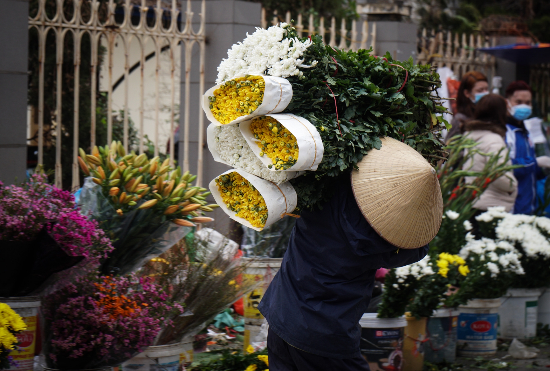 Năm nay giá hoa không cao, tuy nhiên người dân vẫn chọn sát giờ G để mua hoa... giá rẻ. Ảnh minh họa: Thanh Niên