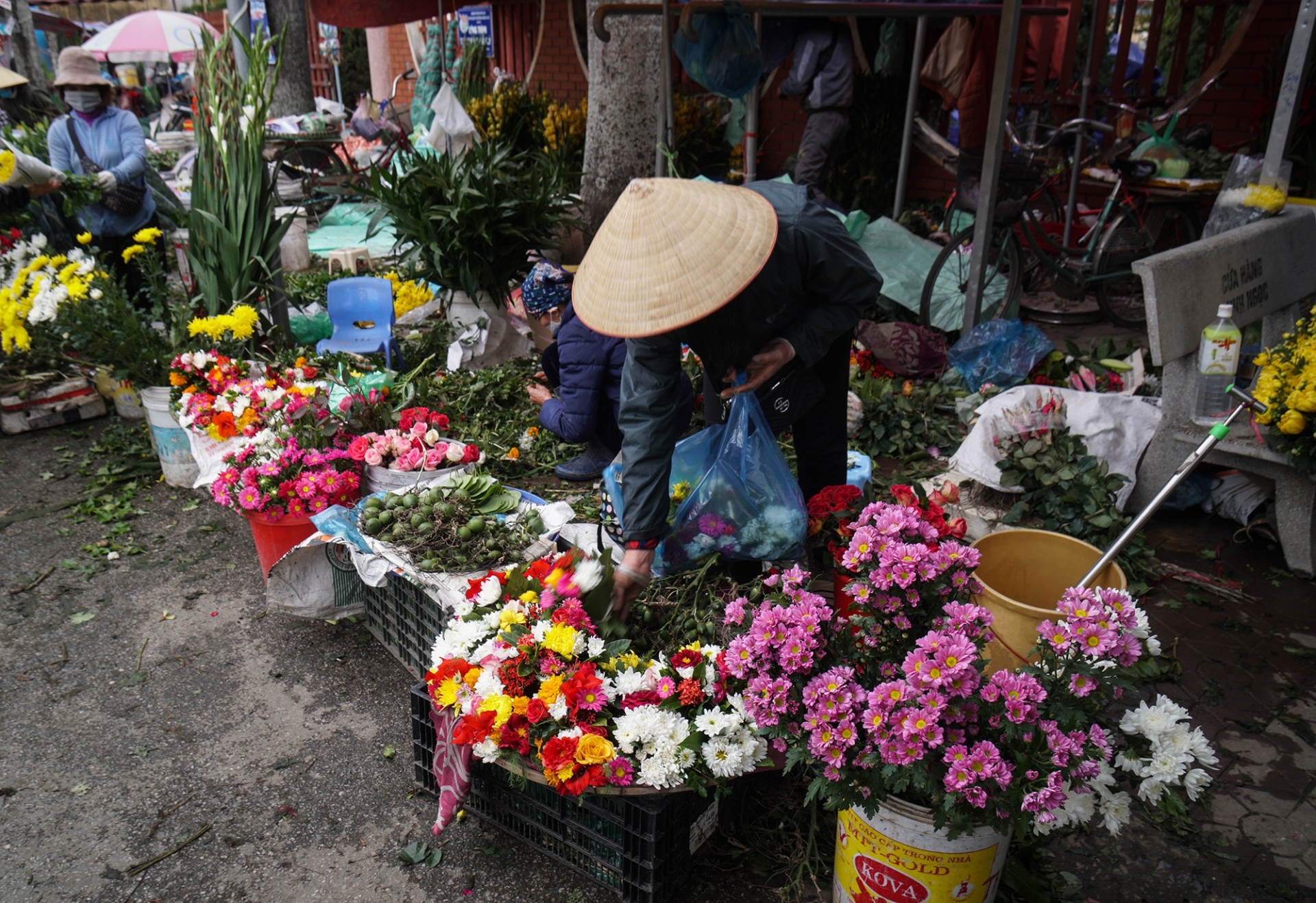 Một nắng hai sương cho hoa nở đẹp đã vất vả, đến khi bán được bông hoa cho người chơi cũng khổ sở bội phần… Ảnh minh họa: Thanh Niên