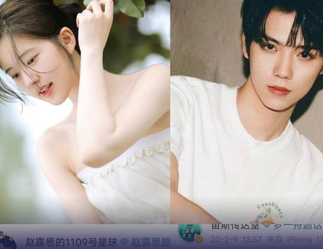 Mới đây, tổ tuyên truyền của Triệu Lộ Tư và La Nhất Châu đều ra thông báo bộ phim Sóng Sau sẽ khởi quay vào sáng mai do hai người đóng chính. Đồng thời, bộ phim này cũng sẽ được livestream trong ngày khởi quay. Được biết phim thuộc thể loại đô thị, thanh xuân lập nghiệp, xoay quanh góc nhìn của thanh niên tuổi trẻ với nền văn hoá y học cổ truyền Trung Hoa. Trong phim, Tôn Đầu Đầu là một cô gái thẳng thắn, thích bênh vực kẻ yếu và vô tình gặp rắc rối. Sau đó, cô đã được giáo sư Nhậm Tân Chính giúp đỡ kịp thời, tiếp đó tham gia lớp học kế thừa trung y. Cũng nhờ vậy mà cô quen được con trai của Nhậm Tân Chính, Nhậm Thiên Chân. Họ cùng giáo sư Tân Chính và các bạn học khác chung tay theo đuổi ước mơ