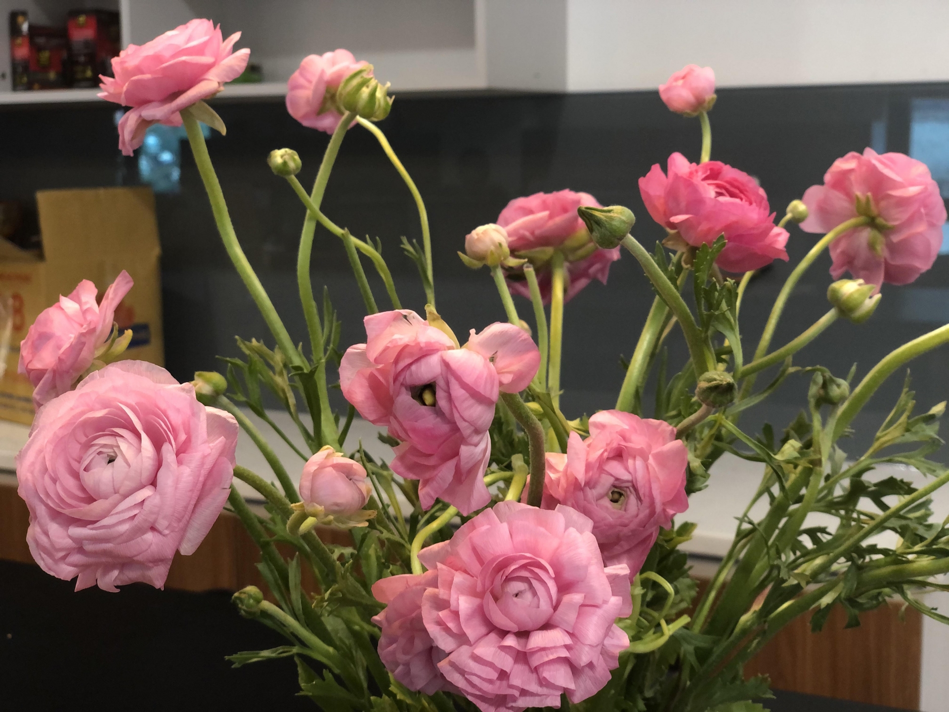 Mao lương mang đến sự thư thái, nhẹ nhàng, đủ đầy